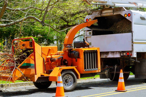 Best Tree Branch Trimming  in Bath, PA